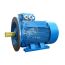 Электродвигатель 5АИ 280 М2 132/3000 IM 2001 Elcom 01.01.214284