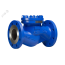 Обратный клапан RD50-250 DN 250 PN 40 Тмакс.град 400 ф/ф сталь/нерж ADL DF01A102779