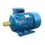 Электродвигатель 5АИ 250 S6 45/1000 IM 1001 Elcom 01.01.213756