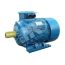 Электродвигатель 5АИ 250 S6 45/1000 IM 1001 Elcom 01.01.213756
