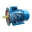 Электродвигатель 5АИ 225 М4 55/1500 IM 2001 Elcom 01.01.213506