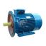 Электродвигатель 5АИ 225 М2 55/3000 IM 2001 Elcom 01.01.213660