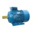 Электродвигатель 5АИ 225 М2 55/3000 IM 1001 Elcom 01.01.213659