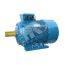 Электродвигатель 5АИ 225 М2 55/3000 IM 1001 Elcom 01.01.213659