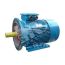 Электродвигатель 5АИ 200 L2 45/3000 IM 2001 Elcom 01.01.213644