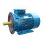Электродвигатель 5АИ 200 L8 22/750 IM 2001 Elcom 01.01.213654
