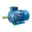 Электродвигатель 5АИ 200 М2 37/3000 IM 1001 Elcom 01.01.213478