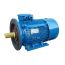 Электродвигатель 5АИ 180 S4 22/1500 IM 2001 Elcom 01.01.213696