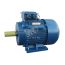 Электродвигатель 5АИ 160 S6 11/1000 IM 1001 Elcom 01.01.213690