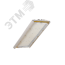 Diora Unit 2Ex 65/10000 Д 5K лира DIORA DU2Ex65D-5K-L
