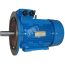 Электродвигатель 5АИ 100 L2 5.5/3000 IM 3081 Elcom 01.01.213679
