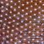 Гирлянда Сеть 2x4м, черный каучук, 560 LED белые Neon-Night 217-135
