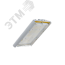 Diora Unit 2Ex 40/5500 Д 4K лира DIORA DU2Ex40D-4K-L