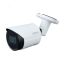 Видеокамера IP 2Мп цилиндрическая уличная IP67 ИК-30м с PoE (2.8мм) Dahua DH-IPC-HFW2230SP-S-0280B-S2