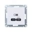 ATLASDESIGN USB РОЗЕТКА тип-С 65Вт высокоскор.заряд. QC, PD, механизм, ЛОТОС SE (Systeme) ATN001327