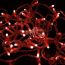 Гирлянда Нить 10 м, с эффектом мерцания, прозрачный ПВХ, 24В, Красный Neon-Night 305-252