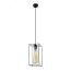 Светильник подвесной (подвес) Luna 5148-201 1 х Е27 40 Вт черный лофт - кантри потолочный Rivoli Б0054978