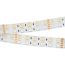 Лента LED RT-B144-19мм 24V RGBW-Day (32 W/m, IP20, 5060, 5м) (ARL, -) Arlight 018144(2)