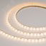 Лента FLT-B70-8mm 24V Warm2700 (15.5 W/m, IP20, 45deg, 5m) (Arlight, Открытый) Arlight 043812