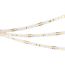 Лента DOT-X128-8mm 24V Day4000 (11 W/m, IP20, 5m) (Arlight, Открытый) Arlight 040234