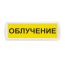 Оповещатель охранно-пожарный световой SLT Т 24 Облучение (жёлтый фон)