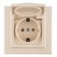 Розетка Минск 1-местная СП с заземлением с крышкой 16А бежевая с защитными шторками IP44 EKF ERR16-029-200-44