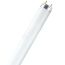 Лампа линейная люминесцентная ЛЛ 36вт L 36/840 G13 белая Osram LEDVANCE 4058075692978