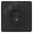 BLANCA скрытой установки розетка без заземления без шторок 16А, 250В, антрацит SE (Systeme) BLNRS000016