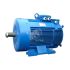 Электродвигатель 5MTH 400 М10 132/600 IM 1003 Elcom 01.03.01.000551