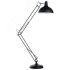 Торшер GOLIATH Arte Lamp A2487PN-1BK