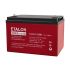 Аккумулятор FORS 12В 100Ач Etalon Battery FORS 12100