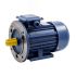 Электродвигатель трехфазный БЭЗ АИР 100L6 IM2081 (2,2 кВт/1000 об/мин) БЭЗ 98415