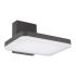 Светильник LGD-TENT-WALL-9W Warm3000 (GR, 110 deg, 230V) (ARL, IP65 Металл, 3 года) Arlight 029977