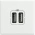 Axl Разъем для зарядки 2хUSB белый LEGRAND HD4285C2