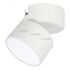 Светильник SP-RONDO-FLAP-R110-25W Warm3000 (WH, 110 deg) (ARL, IP40 Металл, 3 года) Arlight 028161