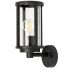 Светильник TORONTO Arte Lamp A1036AL-1BK