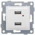 GUSI Ugra механизм розетки USB,  двойной,  скрытая  установка. Цвет  белый. GUSI Electric С11USB2-001