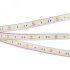 Лента герметичная RTW-PFS-B60-13mm 12V Warm3000 (14.4 W/m, IP68, 5060, 5m) (, -) Arlight 034033