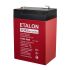 Аккумулятор FORS 6В 4,5Ач Etalon Battery FORS 6045