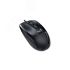 Мышь DX-150X, USB, черный Genius 31010004405