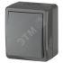 Переключатель IP54, 10АХ-250В, ОУ, Эра Эксперт, серый,11-1403-03 ЭРА Б0020674
