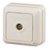 Розетка TV одиночная, ОУ, Quadro, сл.кость, 2-301-02 ЭРА Б0027659
