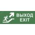 Этикетка самоклеющаяся 200х60мм Выход/лестница вверх/фигура DPA/DBA INFO-DBA-014 ЭРА Б0048466